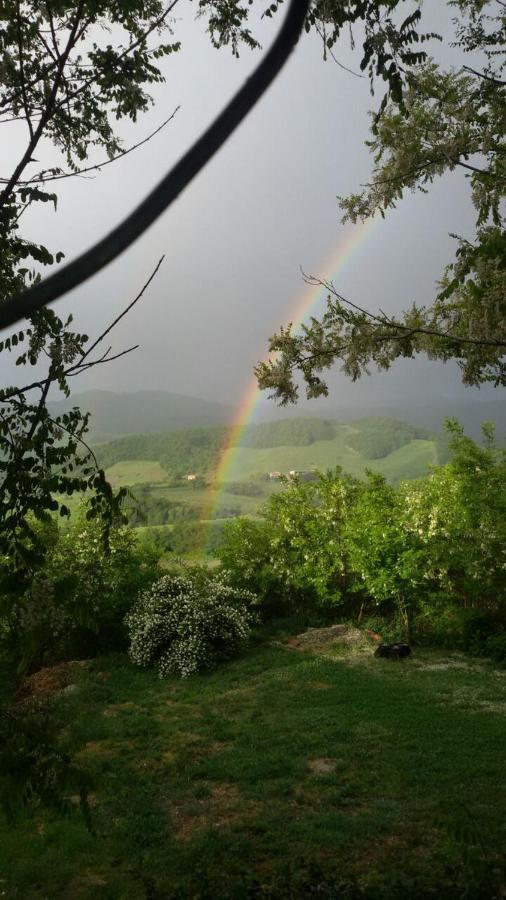 Agriturismo Il Colore Del Grano San Vittore  Eksteriør billede