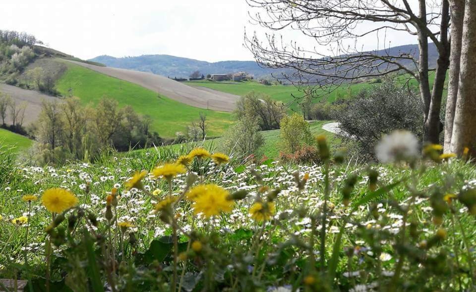 Agriturismo Il Colore Del Grano San Vittore  Eksteriør billede