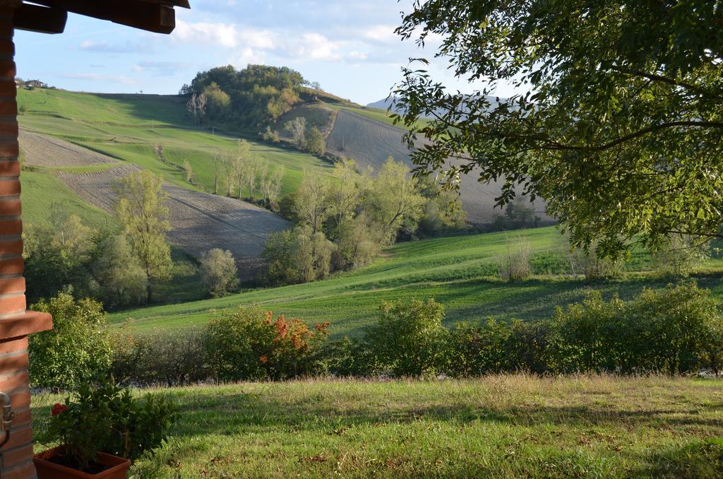 Agriturismo Il Colore Del Grano San Vittore  Eksteriør billede
